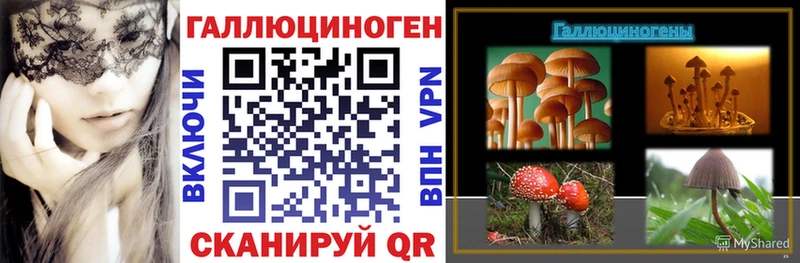 Галлюциногенные грибы Cubensis  Ельня 